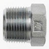 Hydraulic Fitting 9500-P-12 12MBSPT Plug
