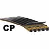 CP Predator PowerBand Belts
