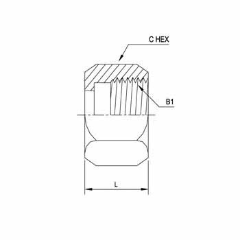Hydraulic Fitting FS0318-04 04 Nut