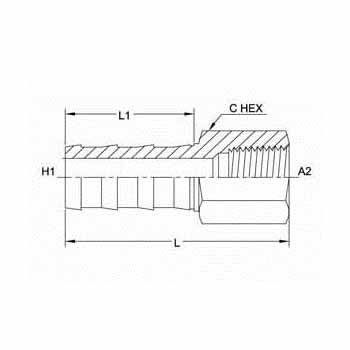 Hydraulic Fitting 2119-04-02-B 04PL-02FP Straight Brass