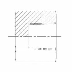 Hydraulic Fitting 5406-C-02 02 Pipe Cap