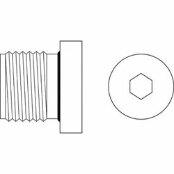 Hydraulic Fitting 9522-H10-O 10BSPP Hollow Hex Plug
