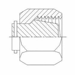 Hydraulic Fitting C0304-C-02-SS 02 Cap Nut Stainless