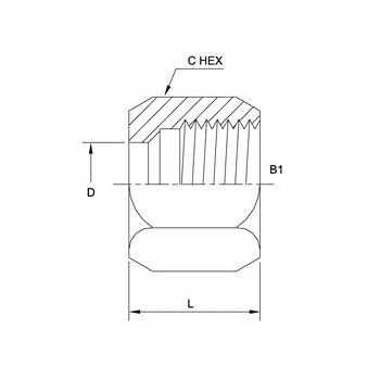 Hydraulic Fitting C0318-02 02 Nut