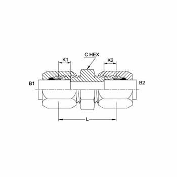 Hydraulic Fitting C2403-02-02 02BT-02BT Tube Union Straight