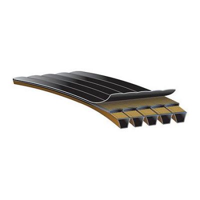 専用●BIG HEAVY Predator-PowerBand-
